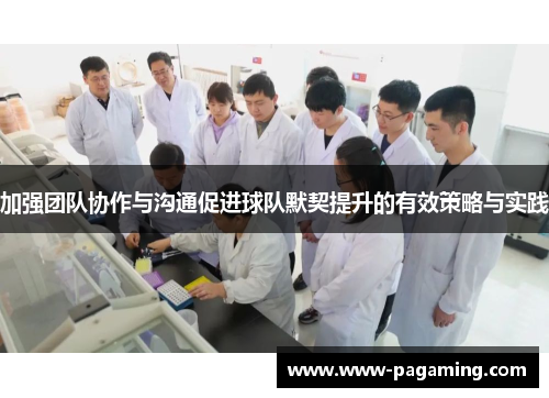 加强团队协作与沟通促进球队默契提升的有效策略与实践