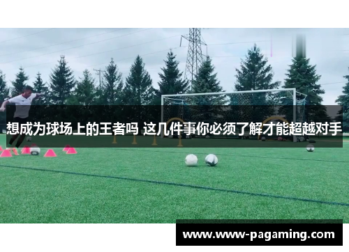 想成为球场上的王者吗 这几件事你必须了解才能超越对手