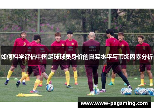 如何科学评估中国足球球员身价的真实水平与市场因素分析