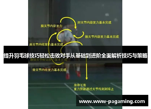 提升羽毛球技巧轻松击败对手从基础到进阶全面解析技巧与策略