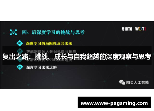 复出之路：挑战、成长与自我超越的深度观察与思考