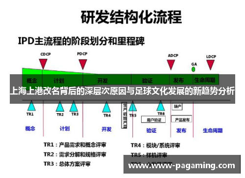 上海上港改名背后的深层次原因与足球文化发展的新趋势分析 上海上港改名背后的深层次原因与足球文化发展的新趋势分析
