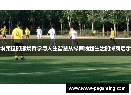 埃弗拉的球场哲学与人生智慧从绿茵场到生活的深刻启示 埃弗拉的球场哲学与人生智慧从绿茵场到生活的深刻启示