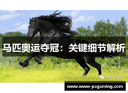 马匹奥运夺冠：关键细节解析