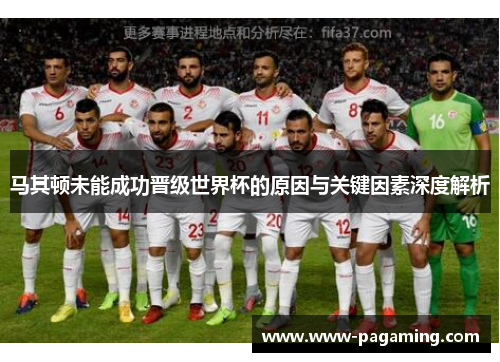 马其顿未能成功晋级世界杯的原因与关键因素深度解析