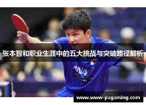 张本智和职业生涯中的五大挑战与突破路径解析