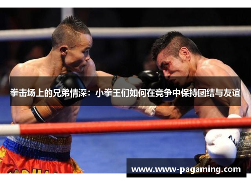 拳击场上的兄弟情深：小拳王们如何在竞争中保持团结与友谊